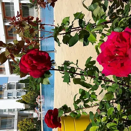 Apartament Nesebar Fort Club *